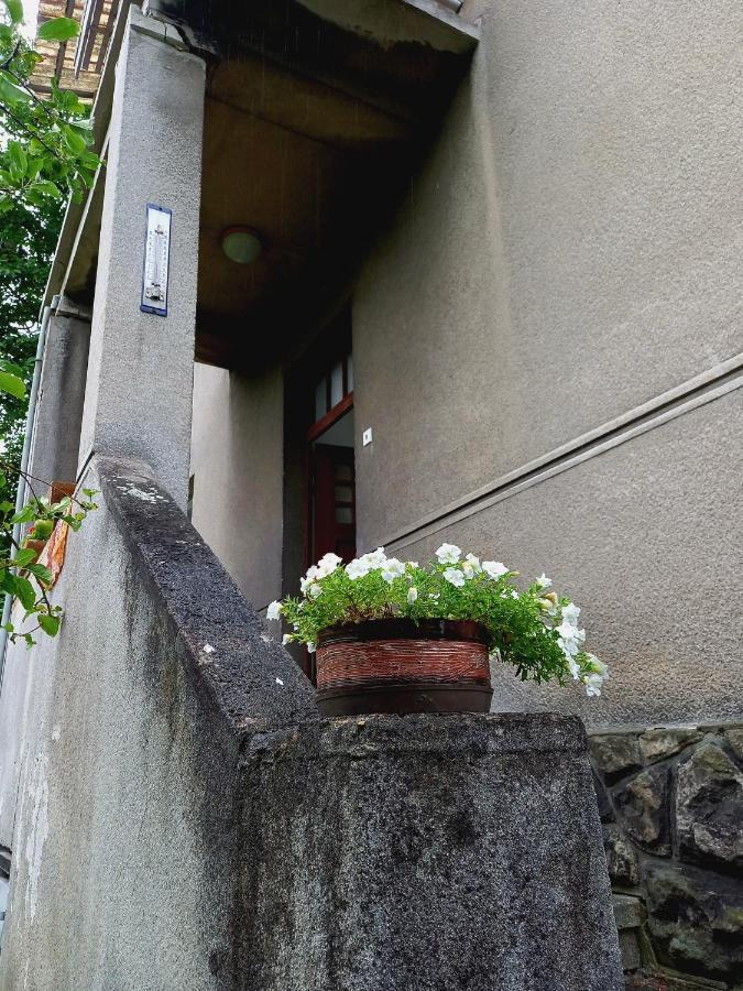 Vila Kotlarska Decin Exterior foto